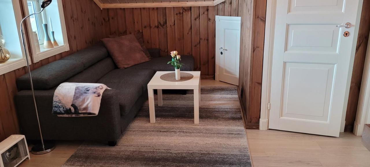 Wonderful Cabin With Amazing Mountain - View Lifjell Ngoại thất bức ảnh