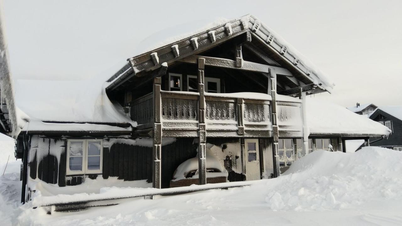 Wonderful Cabin With Amazing Mountain - View Lifjell Ngoại thất bức ảnh