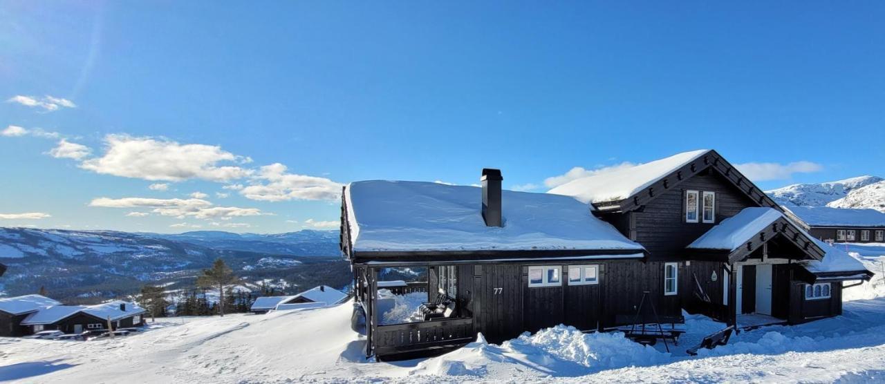 Wonderful Cabin With Amazing Mountain - View Lifjell Ngoại thất bức ảnh